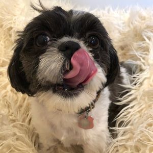 Meet your Posher, Chloe